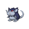 Shadow Raticate (Alolan)